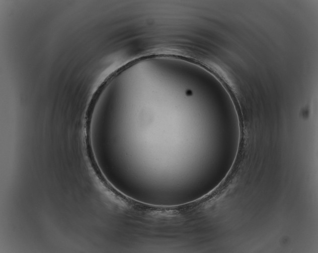 X0000091651133200708231215
