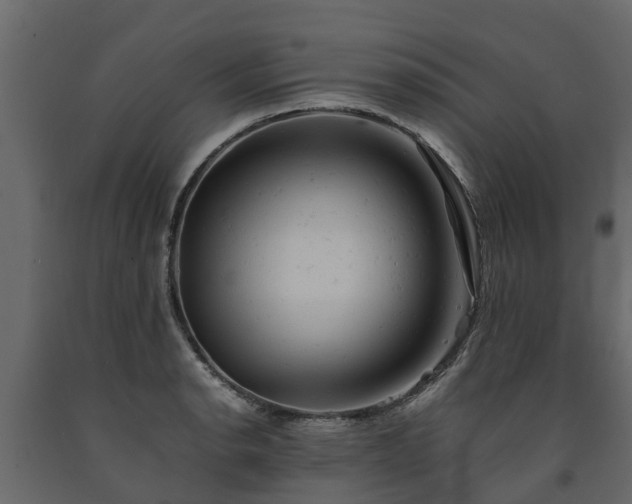 X0000091651134200708231215
