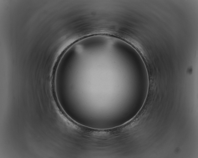 X0000091651135200708231215