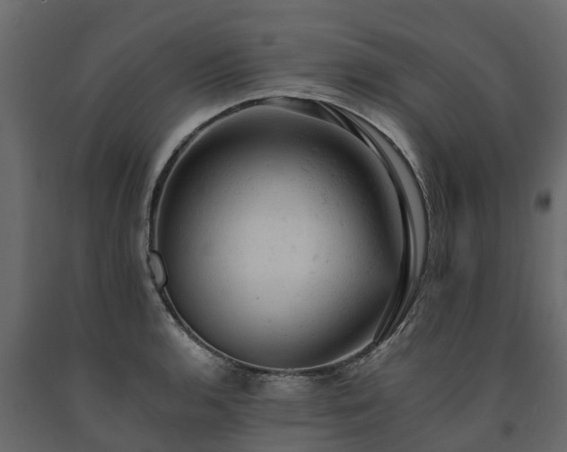 X0000091651136200708231215