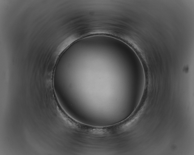 X0000091651137200708231215