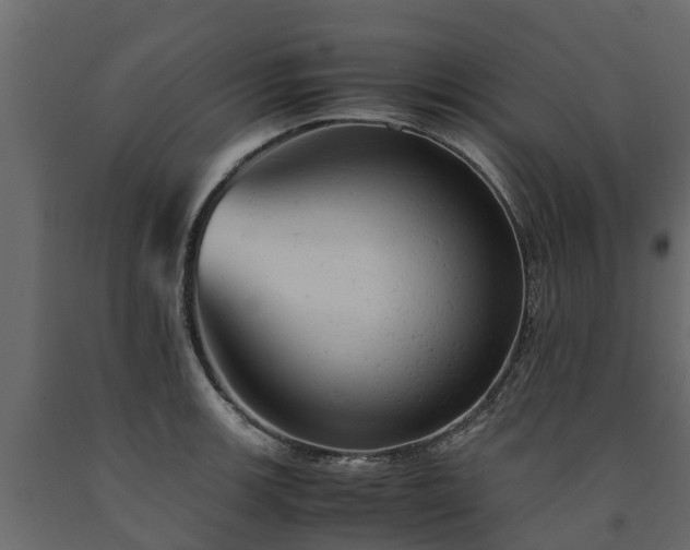 X0000091651139200708231215