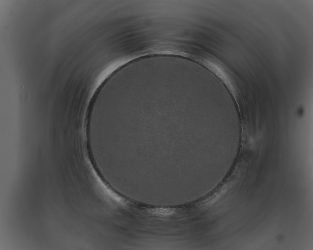 X0000091651141200708231215