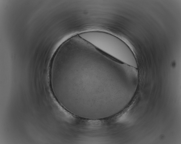 X0000091651142200708231215