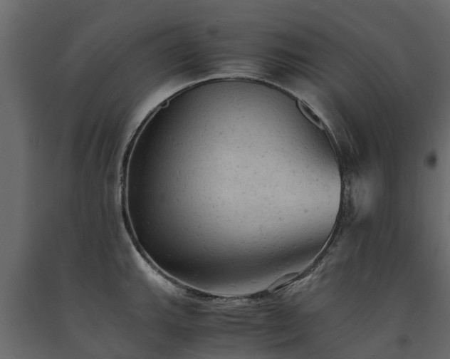 X0000091651143200708231215