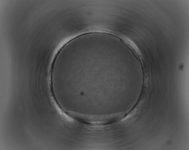 X0000091651144200708231215