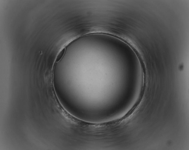 X0000091651145200708231215