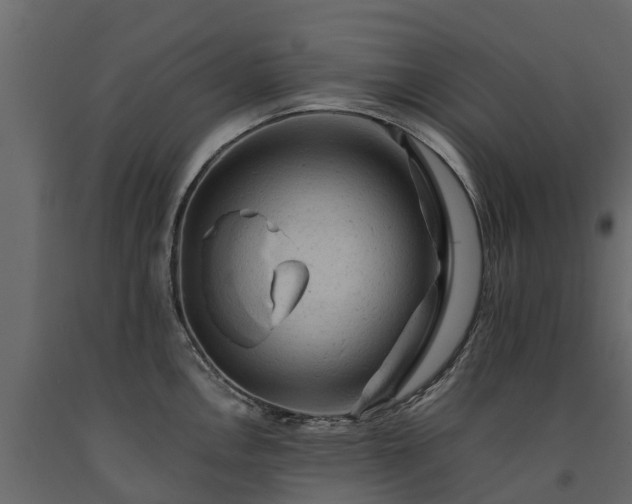 X0000091651146200708231215
