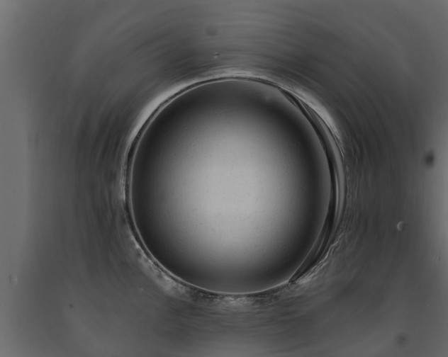 X0000091651148200708231215