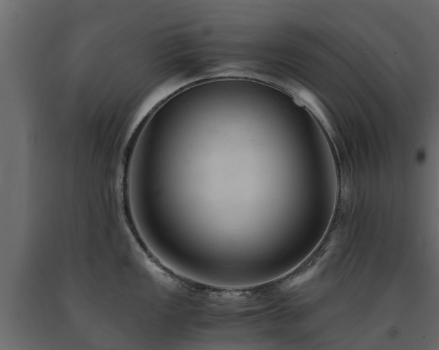 X0000091651149200708231215