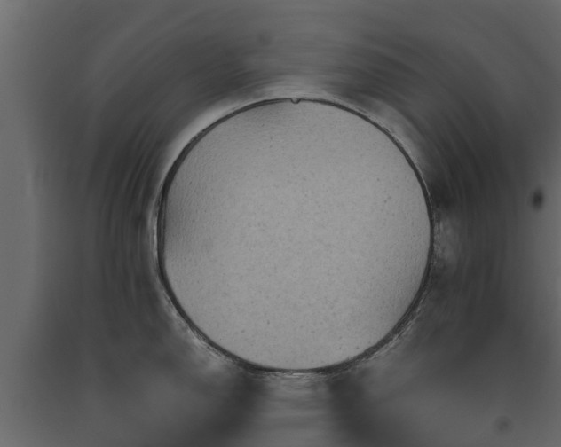 X0000091651150200708231215