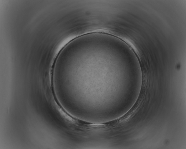 X0000091651151200708231215
