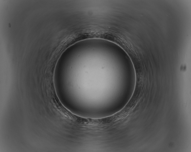 X0000091651153200708231215