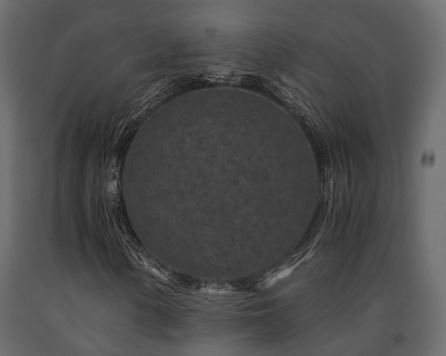 X0000091651154200708231215