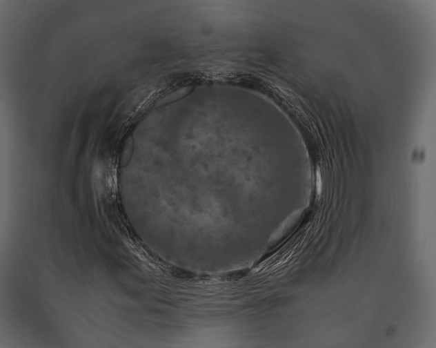 X0000091651155200708231215