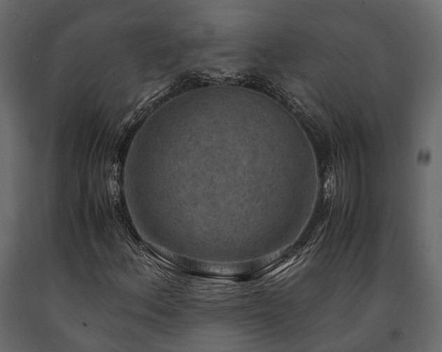 X0000091651156200708231215