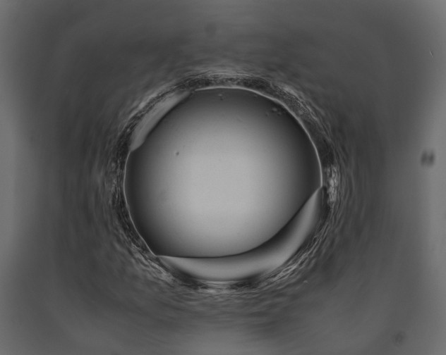X0000091651157200708231215