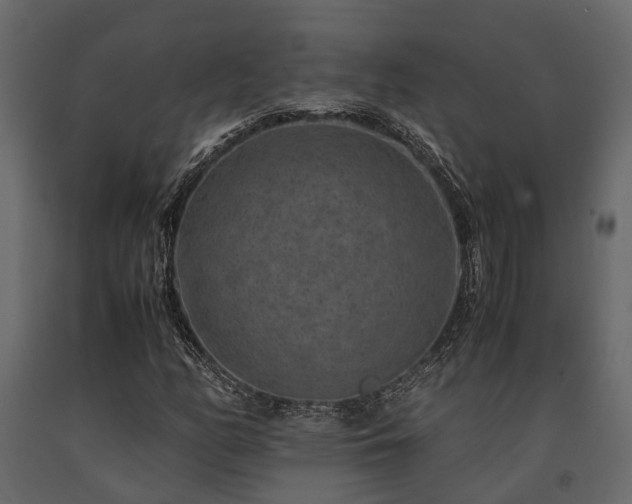 X0000091651158200708231215