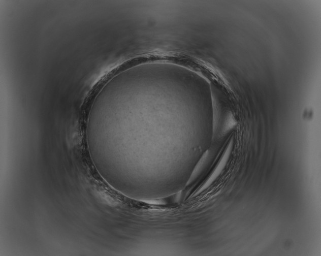 X0000091651160200708231215