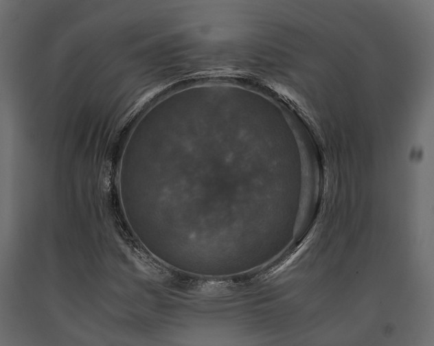 X0000091651161200708231215