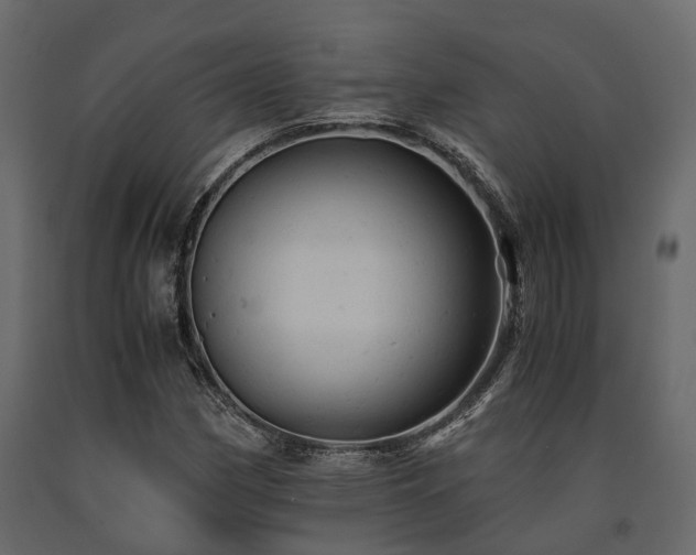 X0000091651162200708231215
