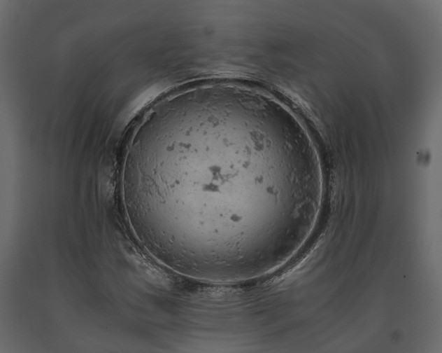 X0000091651163200708231215