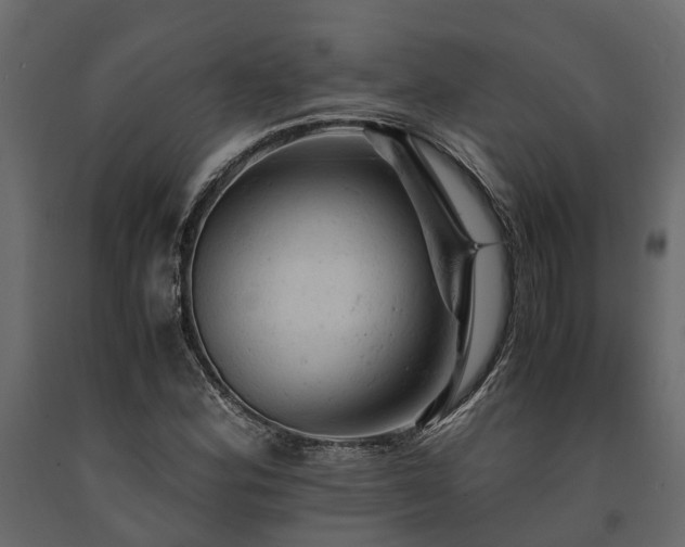 X0000091651164200708231215