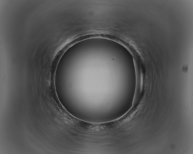 X0000091651165200708231215