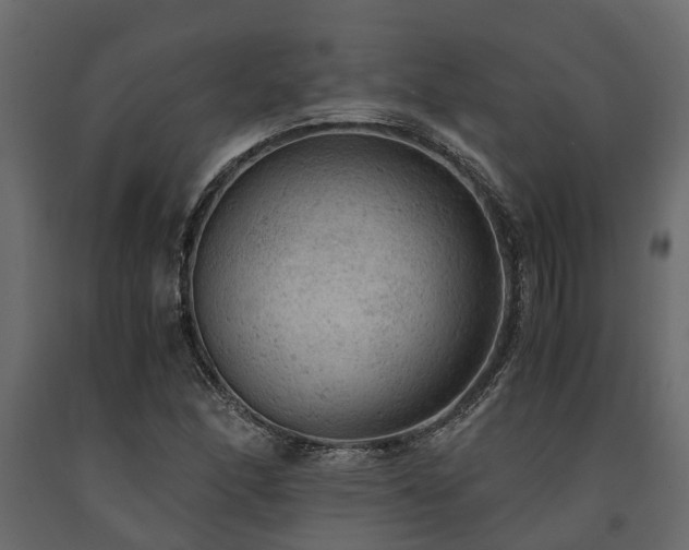 X0000091651166200708231215