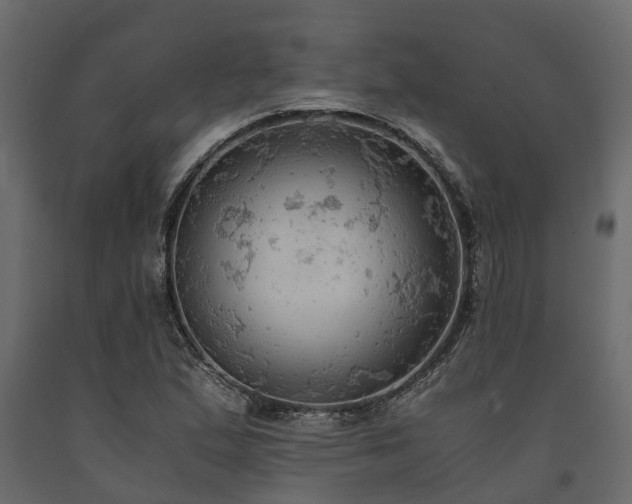 X0000091651167200708231215