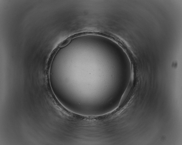 X0000091651168200708231215