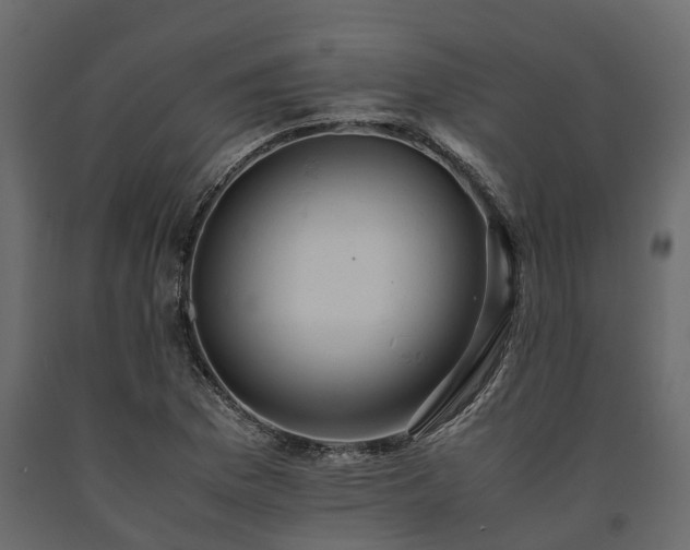 X0000091651169200708231214