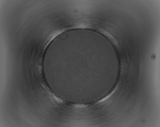 X0000091651170200708231214