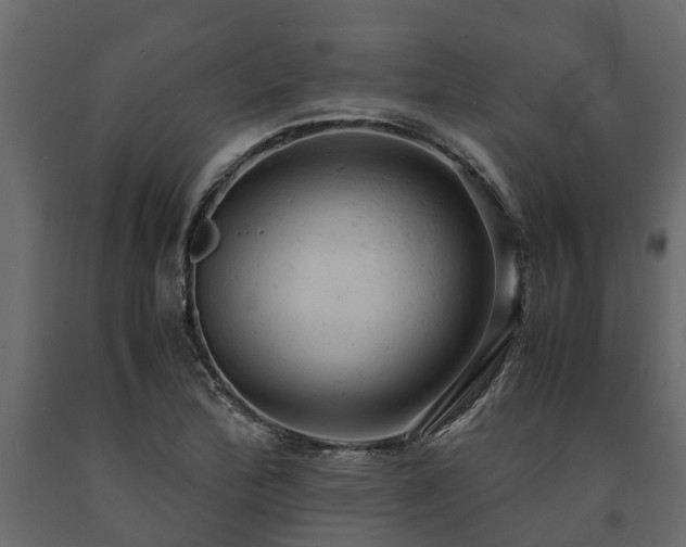 X0000091651172200708231214