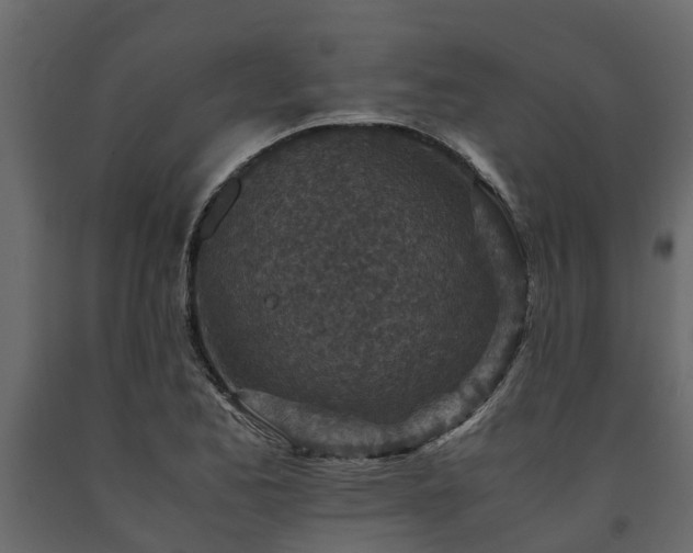 X0000091651173200708231214