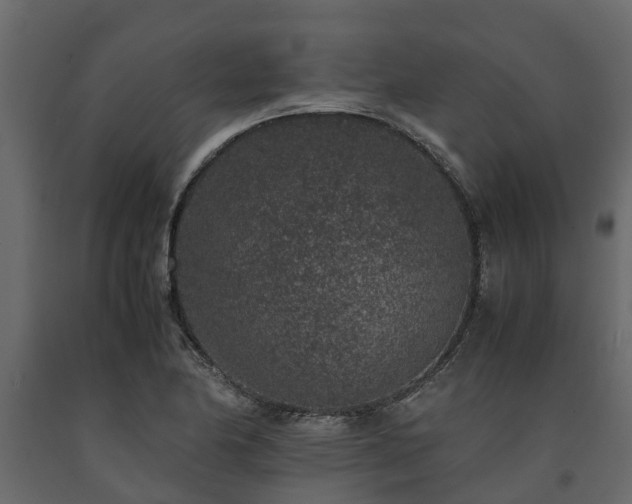 X0000091651174200708231214