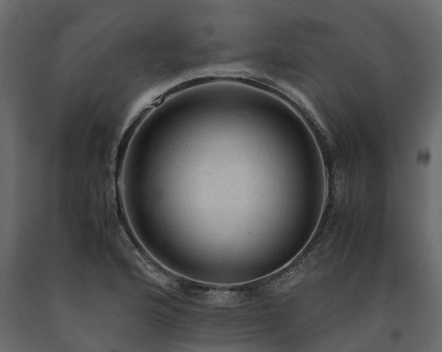 X0000091651176200708231214
