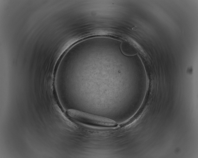 X0000091651178200708231214
