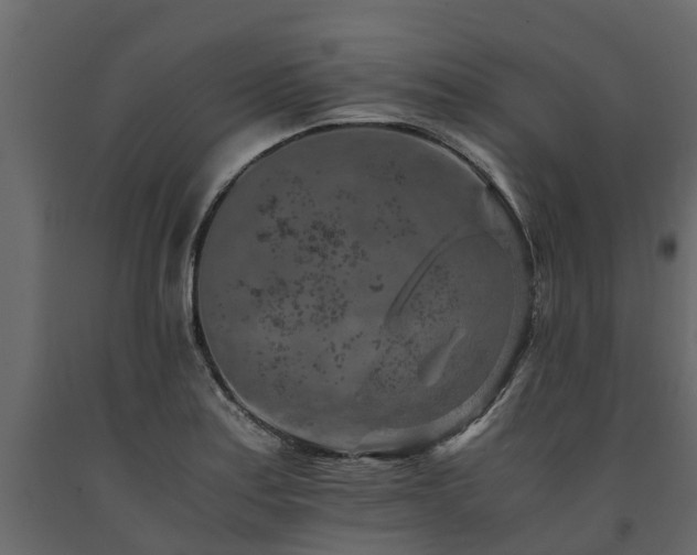 X0000091651179200708231214