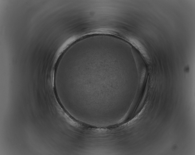 X0000091651180200708231214