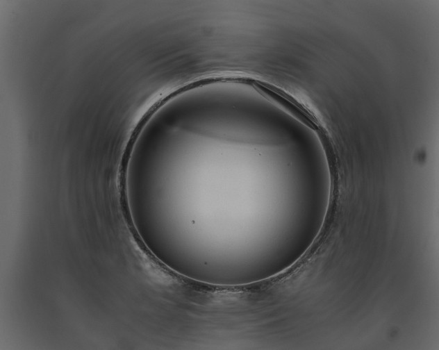 X0000091651181200708231214