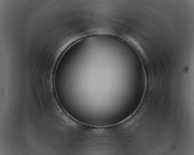 X0000091651182200708231214