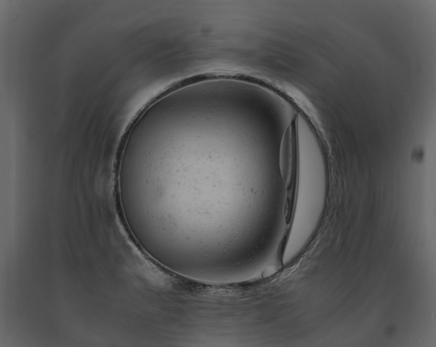 X0000091651183200708231214