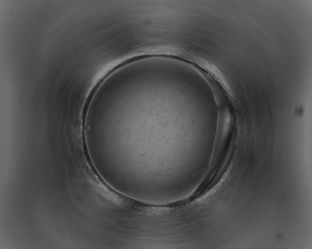 X0000091651184200708231214