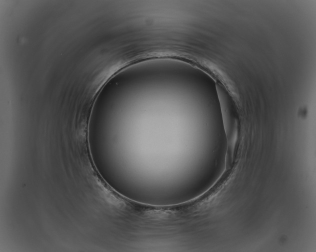 X0000091651185200708231214