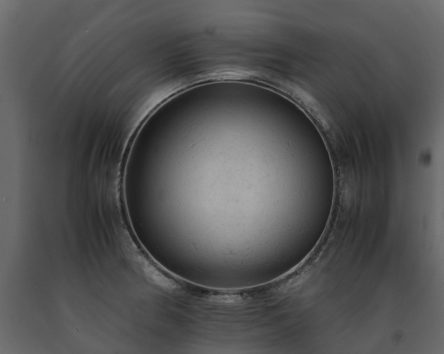 X0000091651186200708231214
