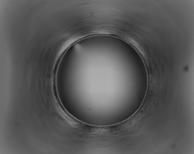 X0000091651187200708231214