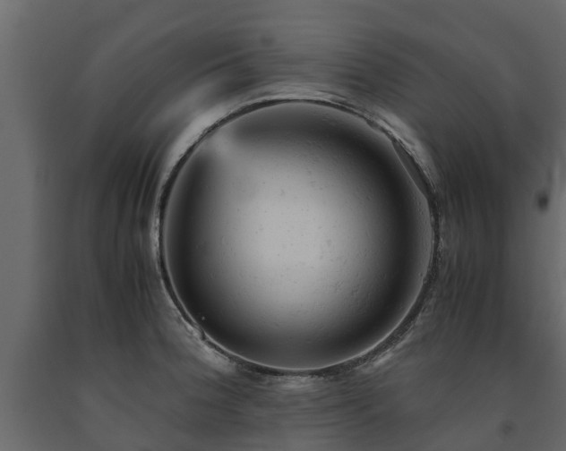 X0000091651188200708231214