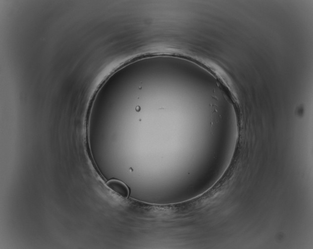 X0000091651191200708231214