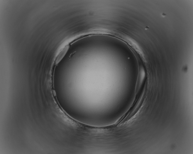 X0000091651192200708231214